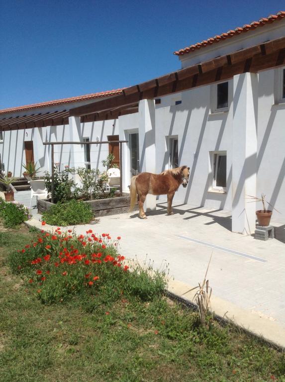 Apartament Quinta De Moledos Aljezur Zewnętrze zdjęcie